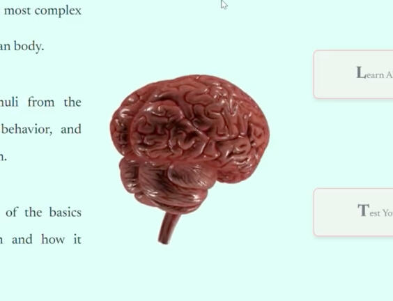 BrainBuild UI Design